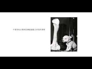 不要害怕去嘗試仿彿超過能力所及的事情 