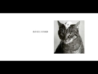 敢於冒巨大的風險 