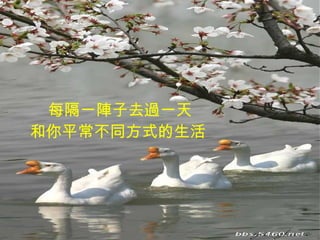 每隔一陣子去過一天 和你平常不同方式的生活   