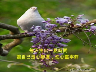 每天抽出一點時間 讓自己澄心靜慮，使心靈寧靜   