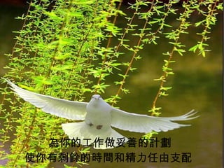 為你的工作做妥善的計劃 使你有剩餘的時間和精力任由支配   