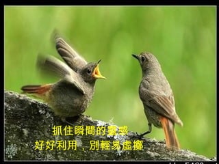 抓住瞬間的靈感 好好利用，別輕易虛擲   