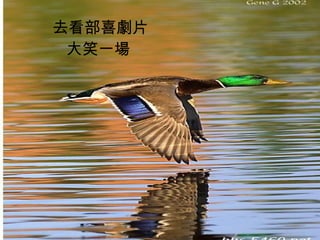 去看部喜劇片 大笑一場   