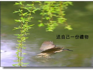 送自己一份禮物   