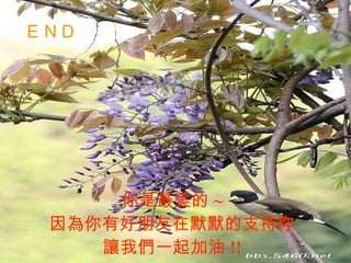 你是最美的 ~ 因為你有好朋友在默默的支持你 讓我們一起加油 !! ＥＮＤ 