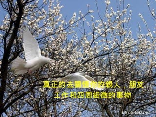 真正的去關懷你的親人，朋友 工作和四周細微的事物   