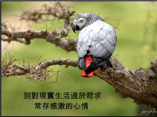 別對現實生活過於苛求 常存感激的心情   