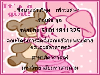 ชื่อนางสาววิจุล  เพ็งวงศ์ษา  ชื่อเล่น จุล รหัสนิสิต  51011811325 คณะโครงการจัดตั้งคณะสัตวแพทยศาสตร์และสัตวศาสตร์ สาขาสัตวศาสตร์ มหาวิทยาลัยมหาสารคาม 