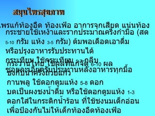 สมุนไพรสุขภาพ สมุนไพรแก้ท้องอืด ท้องเฟ้อ อาการจุกเสียด แน่นท้อง   กระชาย ใช้เหง้าและรากประมาณครึ่งกำมือ  ( สด  5-10   กรัม แห้ง  3-5   กรัม )  ต้มพอเดือดเอาดื่ม หรือปรุงอาหารรับประทานได้ กระเทียม  ใช้กระเทียม  5-7   กลีบ ซอยละเอียดรับประทานหลังอาหารทุกมื้อ กระวานไทย  ใช้ผลที่แก่จัด  6-10   ผล ชงกับน้ำครึ่งถ้วยแก้ว กานพลู  ใช้ดอกตูมแห้ง  5-8   ดอก บดเป็นผงชงน้ำดื่ม หรือใช้ดอกตูมแห้ง  1-3   ดอกใส่ในกระติกน้ำร้อน ที่ใช้ชงนมเด็กอ่อน เพื่อป้องกันไม่ให้เด็กท้องอืดท้องเฟ้อ 