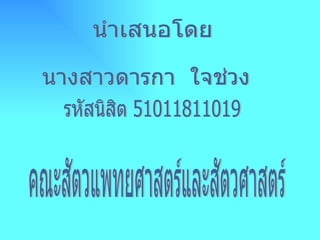 นำเสนอโดย นางสาวดารกา  ใจช่วง รหัสนิสิต 51011811019 คณะสัตวแพทยศาสตร์และสัตวศาสตร์ 