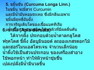 5 .  ขมิ้นชัน  ( Curcuma Longa Linn .) ในขมิ้น จะมีสาร  Curcumin  และมีน้ำมันหอมระเหย ซึ่งมีกลิ่นเฉพาะ ขมิ้นมีฤทธิ์ยับยั้ง การเจริญเติบโตของเชื้อแบคทีเรีย และเชื้อราหลายชนิด ใช้ทาผิวที่มีผดผื่นคัน  6 .  น้ำผึ้ง  ( Apis dorsata )        ได้จากผึ้ง ประกอบด้วยน้ำตาลกลูโคส ฟรุคโตส ขี้ผึ้ง อัลบูมินอยด์ ละอองเกสรดอกไม้ และฮอร์โมนเอสโตรเจน จำนวนเล็กน้อย น้ำผึ้งใช้เป็นส่วนประกอบ ของเครื่องสำอาง ใช้พอกหน้า ทำให้ผิวหน้าชุ่มชื่น เปล่งปลั่งมีน้ำมีนวลขึ้น  