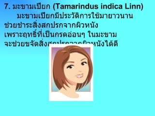 7.  มะขามเปียก  ( Tamarindus indica Linn )        มะขามเปียกมีประวัติการใช้มายาวนาน ช่วยชำระสิ่งสกปรกจากผิวหนัง เพราะฤทธิ์ที่เป็นกรดอ่อนๆ ในมะขาม จะช่วยขจัดสิ่งสกปรกจากผิวหนังได้ดี  