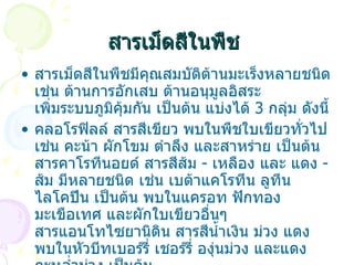 สารเม็ดสีในพืช   สารเม็ดสีในพืชมีคุณสมบัติต้านมะเร็งหลายชนิด เช่น ต้านการอักเสบ ต้านอนุมูลอิสระ เพิ่มระบบภูมิคุ้มกัน เป็นต้น แบ่งได้  3  กลุ่ม ดังนี้  คลอโรฟิลล์ สารสีเขียว พบในพืชใบเขียวทั่วไป เช่น คะน้า ผักโขม ตำลึง และสาหร่าย เป็นต้น  สารคาโรทีนอยด์ สารสีส้ม  -  เหลือง และ แดง  -  ส้ม มีหลายชนิด เช่น เบต้าแคโรทีน ลูทีน ไลโคปีน เป็นต้น พบในแครอท ฟักทอง มะเขือเทศ และผักใบเขียวอื่นๆ  สารแอนโทไซยานิดิน สารสีน้ำเงิน ม่วง แดง พบในหัวบีทเบอร์รี่ เชอร์รี่ องุ่นม่วง และแดง กะหล่ำม่วง เป็นต้น  