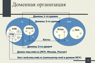 Доменная организация ru com  ibm znanie msk msu firma                  Домены 1-го уровня Домены 3-го уровня Хосты Домены 2-го уровня Домен  msu.msk.ru ( МГУ, Москва, Россия) Хост  evol.msu.msk.ru ( компьютер  evol  в домене МГУ) 