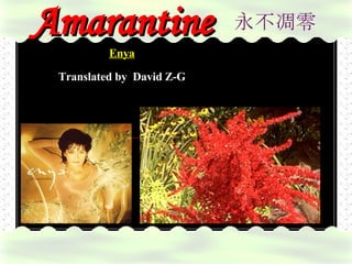 永不凋零 万用卡 Amarantine Enya Translated by   David Z-G 