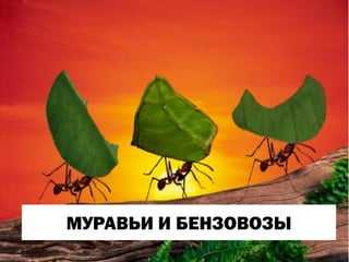 Management - Multidisciplinary Approach