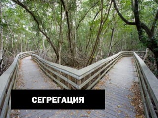 Management - Multidisciplinary Approach