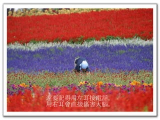 還要記得用左耳接電話， 用右耳會直接傷害大腦 。 