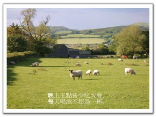 晚上五點後少吃大餐， 每天喝酒不超過一杯。 