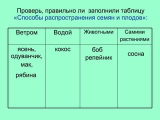Проверь, правильно ли  заполнили таблицу «Способы распространения семян и плодов»: рябина боб сосна репейник кокос ясень, одуванчик, мак, Самими растениями Животными Водой Ветром 