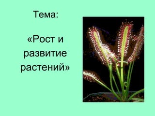 Тема: «Рост и развитие растений» 
