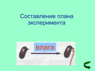 Составление плана эксперимента влага 