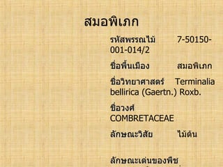 ทะเบียนพรรณไม้