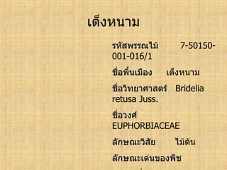 ทะเบียนพรรณไม้