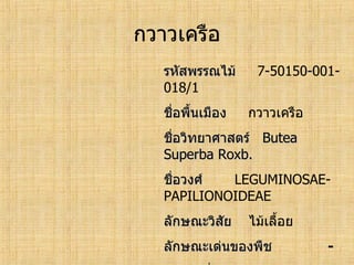 ทะเบียนพรรณไม้