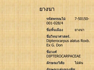 ทะเบียนพรรณไม้