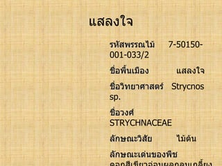 ทะเบียนพรรณไม้