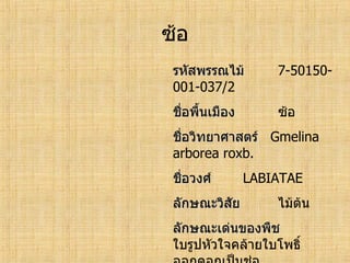 ทะเบียนพรรณไม้