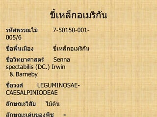 ทะเบียนพรรณไม้