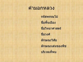 ทะเบียนพรรณไม้