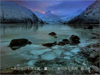 * 鋒芒可以不用太露 ~ 給別人一般如沐春風的溫馨  