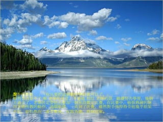 先生回答他說：「你只要把這個動作學好就可以了。」    雖然男孩並不了 解   老師的用意，不過他   相信   老師的話，繼續努力學習。幾個月過去了，老師決定帶他去參加一個昇段鑑定比賽。在比賽中，他很熟練的運用老師所教的動作，過關斬將。一直到了決賽，雖然對手強悍得令他幾乎招架不住，他仍然在一番苦戰後，反敗為勝，得到冠軍 。   