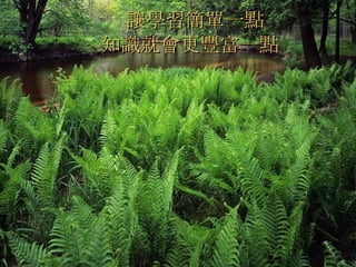 讓學習簡單一點   知識就會更豐富一點  