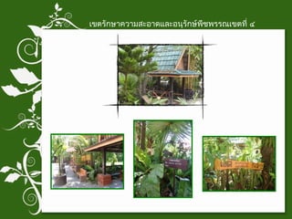 เขตรักษาความสะอาดและอนุรักษ์พืชพรรณเขตที่ ๔ 