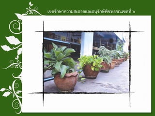 เขตรักษาความสะอาดและอนุรักษ์พืชพรรณเขตที่ ๖ 