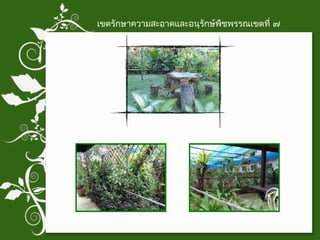 เขตรักษาความสะอาดและอนุรักษ์พืชพรรณเขตที่ ๗ 