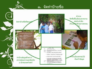 ๑ .  จัดทำป้ายชื่อ สำรวจ ติดชื่อพื้นเมืองและหมายเลขประจำต้น เก็บและทำตัวอย่างพรรณไม้ ทำทะเบียนพรรณไม้  ค้นคว้าข้อมูล ทำป้ายข้อมูลชั่วคราว  ตรวจสอบความถูกต้องโดย นักพฤกษศาสตร์ จัดทำป้ายชื่อที่สมบูรณ์ 