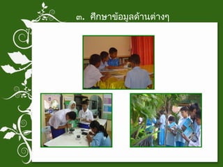 ๓ .  ศึกษาข้อมูลด้านต่างๆ 