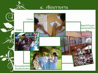 ๔ .  เขียนรายงาน รายงาน ข้อมูลเก็บในมุมสวนพฤกษศาสตร์โรงเรียน ศึกษาต่อเนื่องให้ได้ข้อมูลที่ถูกต้องชัดเจน นำเสนอ 