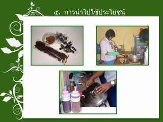 ๕ .  การนำไปใช้ประโยชน์ 