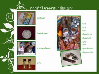 การทำโครงงาน “ส้มแขก” สบู่ส้มแขก โลชั่นส้มแขก น้ำยาล้างจานส้มแขก ยาสระผมส้มแขก น้ำส้มแขก น้ำพริกส้มแขก ส้มแขกกวน ส้มแขกหยี่ น้ำจิ้มส้มแขก ลูกอมส้มแขก ส้มแขกแช่อิ่ม 