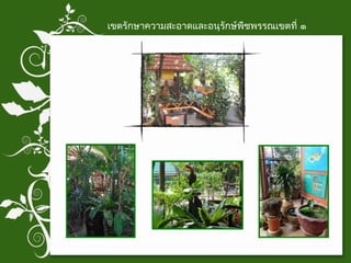 เขตรักษาความสะอาดและอนุรักษ์พืชพรรณเขตที่ ๑ 