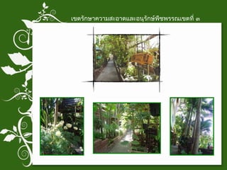 เขตรักษาความสะอาดและอนุรักษ์พืชพรรณเขตที่ ๓ 