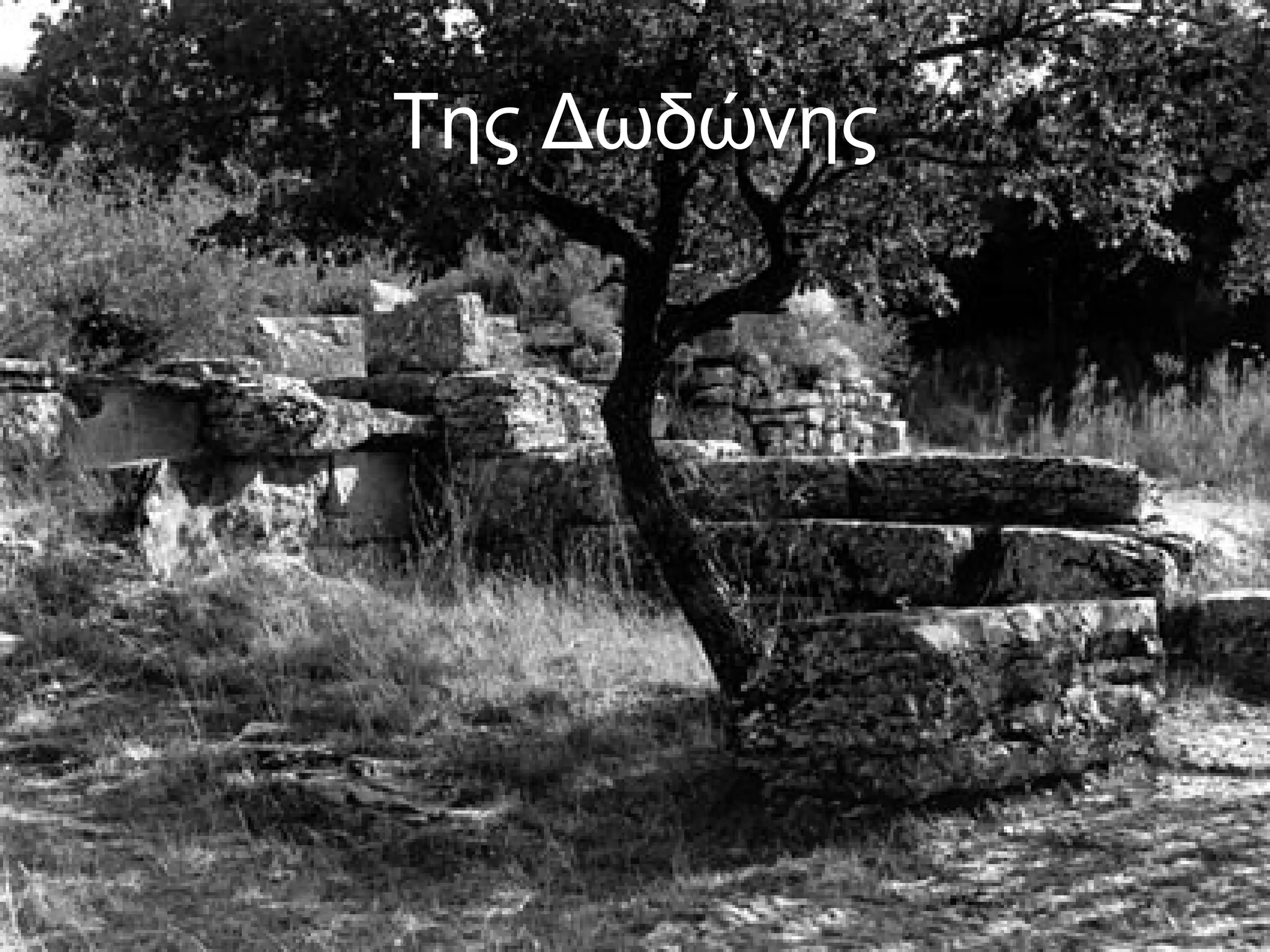 Της Δωδώνης 