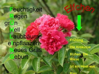 F euchtigkeit R egen gr Ü n H ell L aubbäume e I npflanzen N eues Gras G eburt Frühling Die Krokusse Blühen. Die Wiese Ist ein Meer von Blau Elfchen 