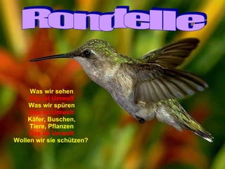 Was wir sehen Das ist Umwelt Was wir spüren Das ist Umwelt Käfer, Buschen, Tiere, Pflanzen Das ist Umwelt Wollen wir sie schützen?   Rondelle 